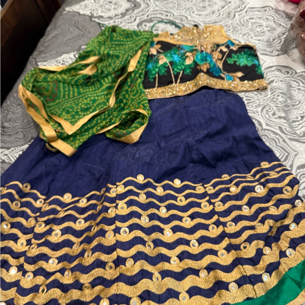 Blue and Gold Embroidered Lehenga with Green Dupatta